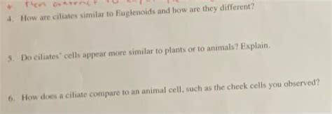 how are cilites similar to plants